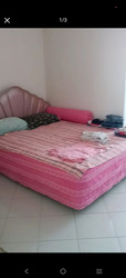 Fajar Road (Bukit Panjang),  #491746431